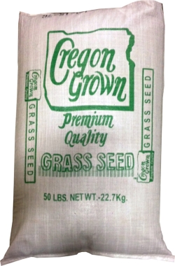 SEED GRASS RYE ANNUAL 50#