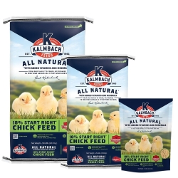 FEED CHICK START 18%ALL NATR 25#