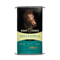 FEED HORSE TRIUMPH ACTIVE12 50#