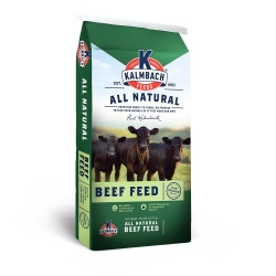 FEED BEEF BLEND 13% UNMED 50#