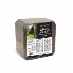 MINERAL BLOCK EQUINE 25#