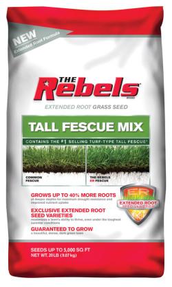 SEED FESCUE REBEL TALL 20#