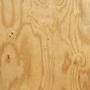 3/8" (11/32) CDX PLYWOOD 4X8 EA