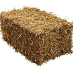 STRAW WHEAT BALE