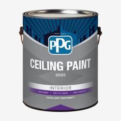 P-PAINT 9585 CEILING LTX FLT GAL