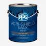 P-PAINT ACRI-SHLD SATN PSTL QT