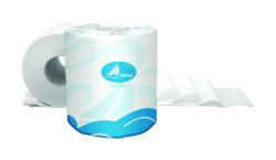 TOILET PAPER 2PLY 80/CS H24480