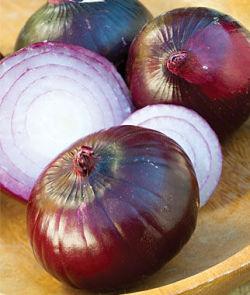 BULBS 75 RED ONION SETS