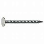NAILS 8 HDG RS PT 25# BUCKET