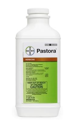 HERBICIDE PASTORA 20OZ