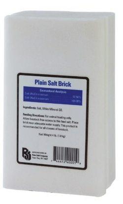 SALT BRICK PLAIN WHITE 4#