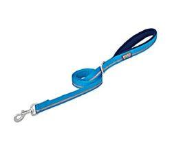 LEASH BLUE 1"X4'