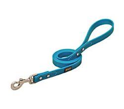 LEASH BRAHMA BLUE 3/4"X4'