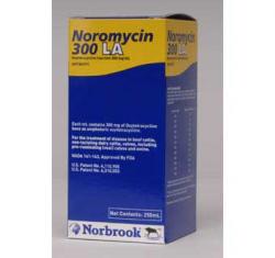 MEDICINE NOROMYCIN 300LA 250ML