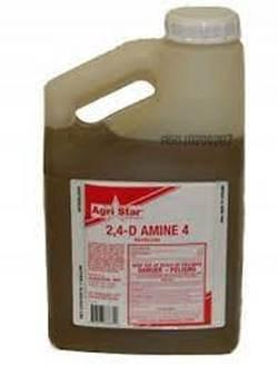 HERBCD 2-4D AMINE 2.5G