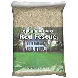 SEED CREEP RED FESCUE 5#