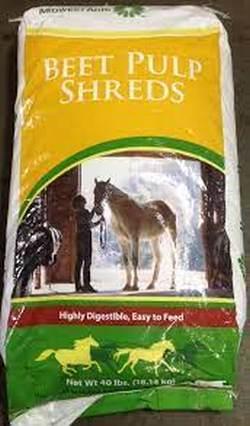 FEED BEET PULP SHRED NO MOLASSES