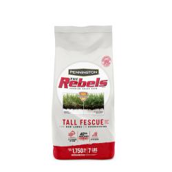 SEED FESCUE REBEL TALL 7#