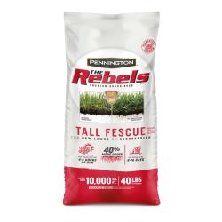 SEED REBEL TALL FESCUE 40 LB