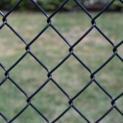 FENCE CHAINLNK BLK VNL 48"X50'