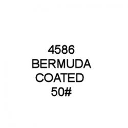 SEED GRASS BERMUDA HULLED 50#