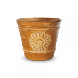 PLANT 4" ANNUAL